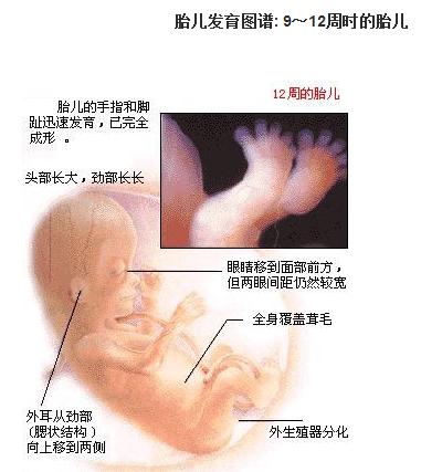 三个月男宝宝发育标准