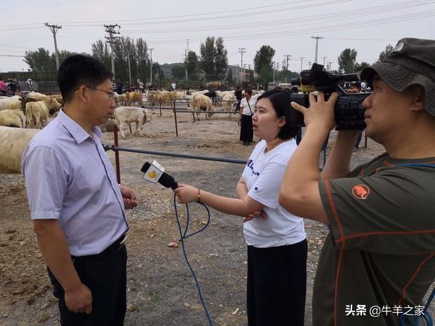 江苏群晟科技，引领科技创新的先锋力量