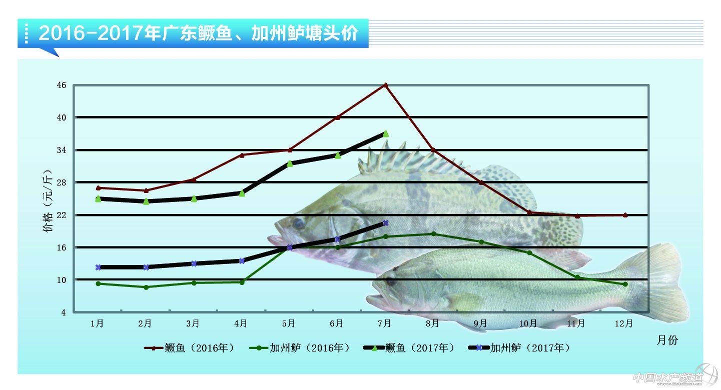 江苏中鲈科技地址——探索科技前沿的枢纽