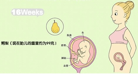 宝宝四个月，营养补充的关键期