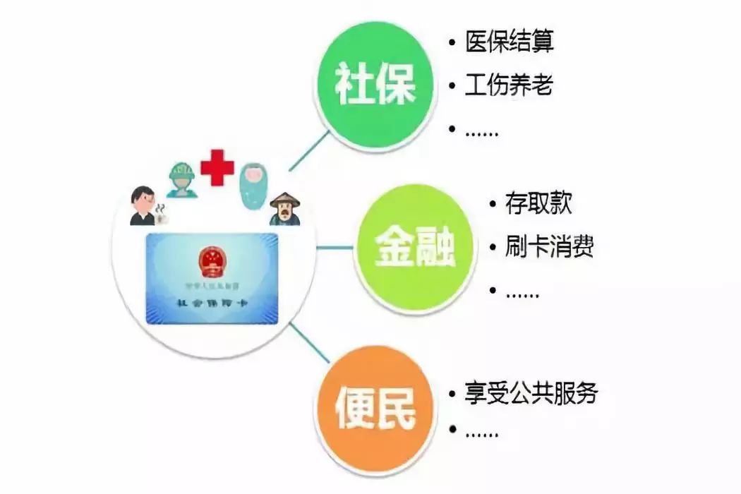 广东省社保通用，构建全覆盖、便捷高效的社保体系