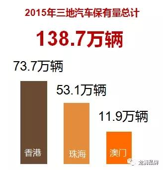 两地牌照出广东省，政策解读与实际应用分析